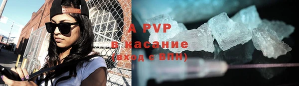 твердый Богданович
