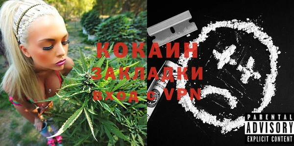 твердый Богданович