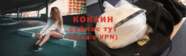 первитин Богородицк