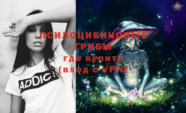 первитин Богородицк
