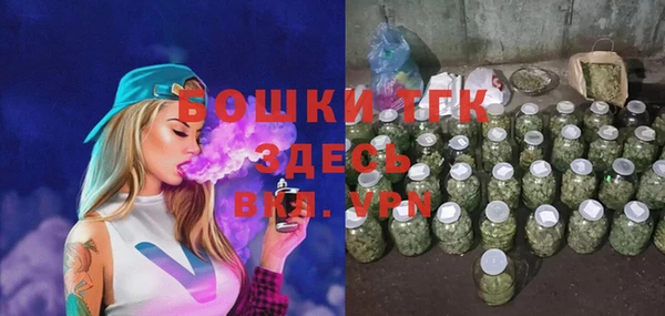 твердый Богданович
